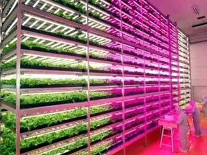 First Farm Run Entirely by Robots to Open in Japan