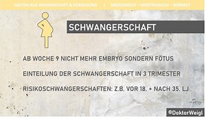 Schwangerschaft – Verlauf, Risiken, Komplikationen