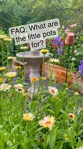 42K views · 10K reactions | I get so many question about the little terra cotta pots on green garden stakes the last few years so I thought I’d answer them here. They serve 3 purposes:  So I can see the stakes when I work in the gardens.  Organically collect and dispose earwigs from chewing on my plants.  And because they look cute! | BricksnBlooms | Facebook