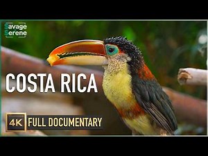 Costa Rica - A Land of Wonders! | Full Documentary in 4K