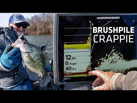Finding & Catching Brush Pile Crappies | MEGA Live & Side Imaging