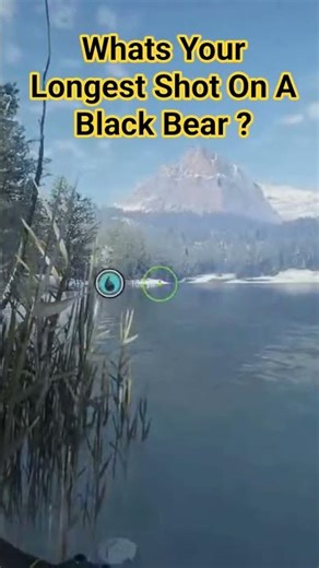 Black Bear Hunt on Askiy Ridge | The Hunter: Call of the Wild Gameplay | COTW Black Bear #jjdstreams
