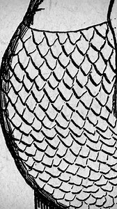 861K views · 10K reactions | Did Dragons Introduce Themselves to Every Culture?!  | Ancient Aliens | Ancient Aliens | Facebook