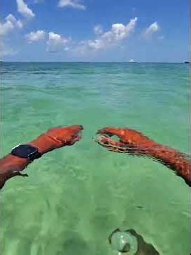 META Raybans POV Swimming in Nevis Pinny's Beach.