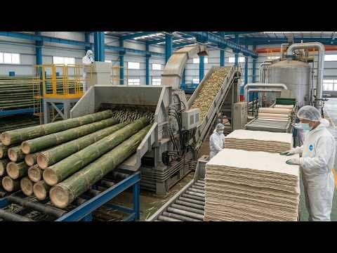 Why Bamboo Paper is Still Made by Hand! (Step-by-Step Ancient Invention)