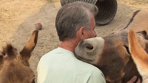 Ohio Farmer Melts Hearts With Donkey Doo-Wop Serenade