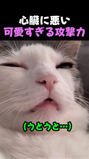 Pink nose and tiny teeth, a creature perfect down to its sleep talk.. 😴