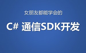 【女朋友都能学会】C# 通信SDK开发