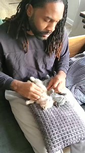 66K views · 4.4K reactions | 473_Kitten updates! Ash is a very ALERT kitten. She sleeps with her eyes open  Meanwhile, Ember does not have a care in the world, sleeps anywhere, and is obsessed with toys. They're doing gr | Fostering kittens | Facebook