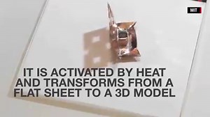 520K views · 1.5K reactions | This tiny origami robot isn't just...