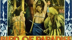 Bird of Paradise 1932 with Joel McCrea, Dolores Del Rio and