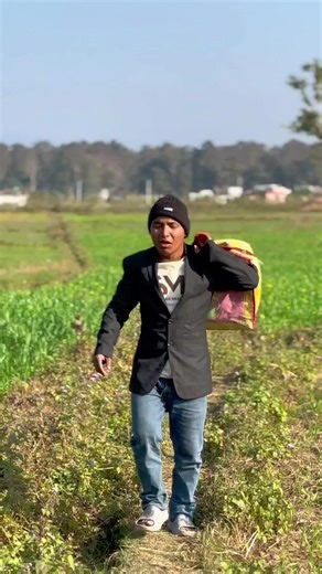 Japan's Creator Reward Program Insights