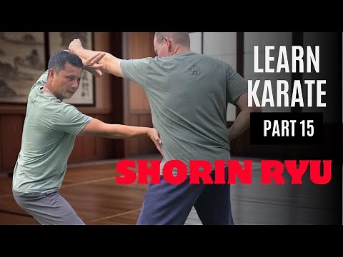 Martial Arts Tutorial | SHORIN RYU Style | PART 15 ( WANSHU, Kata and Applications