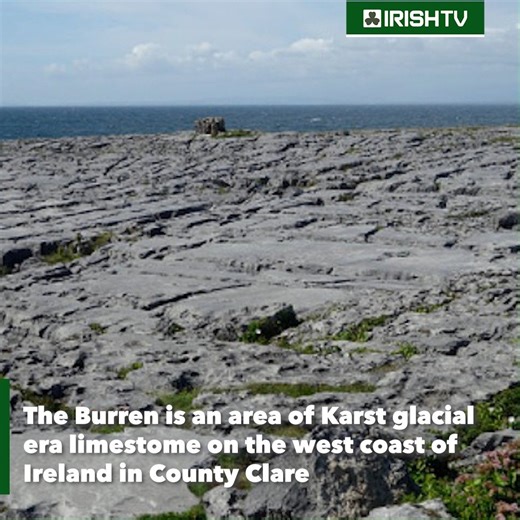 Here are some interesting facts about The Burren in Co. Clare | Irish TV