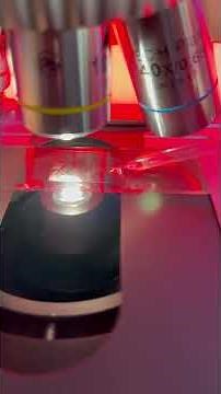 OSMOSIS EXPLAINED UNDER THE MICROSCOPE 🔬