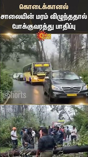 Kodaikanal | Heavy Rain | Tree Falling | Rode Traffic | Shorts | Sun News