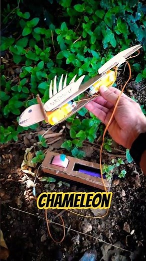 Diy Chameleon make with cardboard and gearbox #diy #handmade