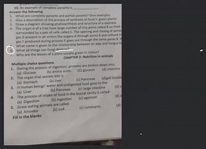 The process of intake of food in the buccal cavity is called... | Filo