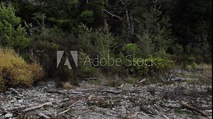 空撮_海外の大自然