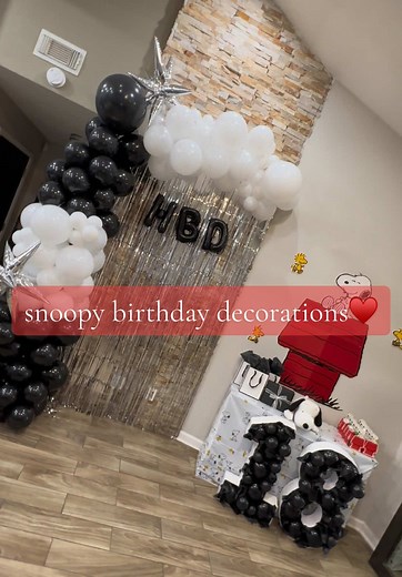 Snoopy Themed 18th Birthday Party Decorations Ideas