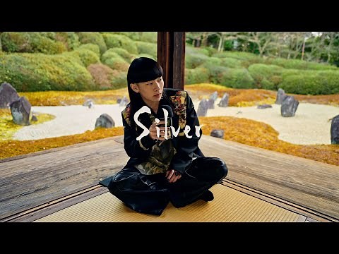 SHOW-GO - Silver (Beatbox)