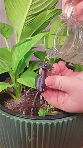 3D printing an automatic plant watering gadget 👀💦 #shorts #experiment