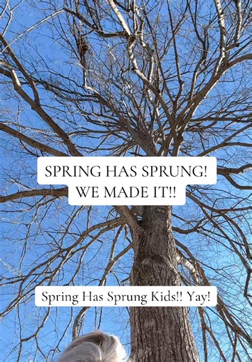 Enjoying Springtime with Auggie and Beautiful Scenery