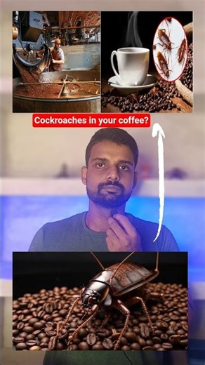 Cockroaches in your coffee? is it true?