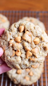4.6K views · 25 reactions | Butterscotch Oatmeal Cookies (aka Scotchies)! These are chewy buttery oatmeal cookies full of sweet butterscotch chips! 殺Comment RECIPE to get it sent directly to your inbox 李 #baking #easyrecipes #butterscotch #cookies #dessertlover | Taffey Bakery | Facebook