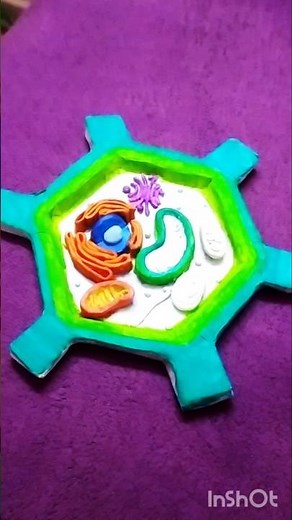 plant cell model by clay and paper #plantcells #plants #artwork #model #3dmodel #shorts
