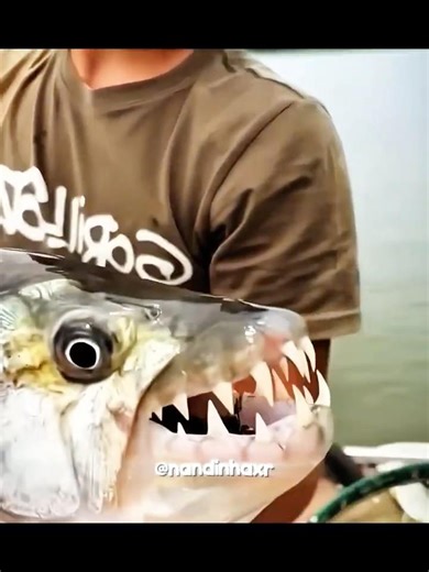 O ULTIMO PEIXE NAO PODE DAR MEDO💀💀💀