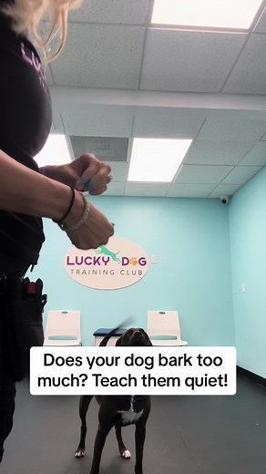 #doggo #fyp #dogtrainer #dogtraining #dogplay #forcefreedogtraining #barkingdog
