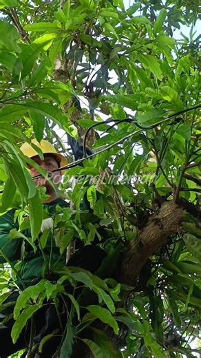 Understanding Electricity Through Highlights and Insights