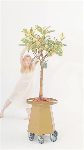 BIONIC DANCE - KATERINA DRAKOPOULOU & FICUS TINEKE #bihemisphericart #performance #artistsandtrees