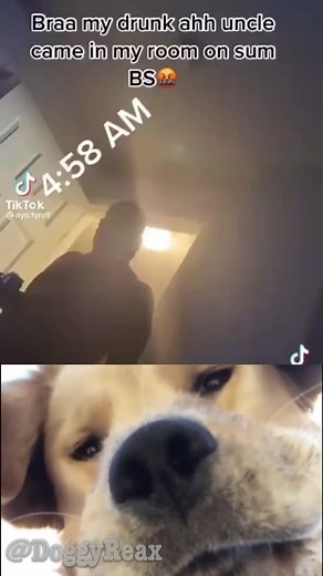 Uncle Farting Apologies: A Drunken Comedy Meme