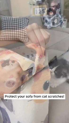 4.1K views · 28 reactions | The Perfect Distraction for Your Feline Friend. Check the first comment for the link! | Beautiful cats | Facebook