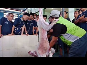 Cara Mudah Menguliti Kambing