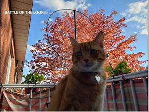 Shortwave radio live stream Wednesday September 15th 2021