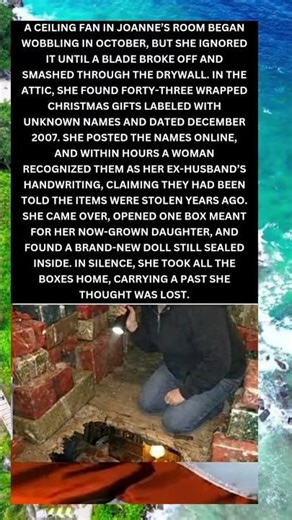 The Attic Secret That Returned a Lost Past 🎁