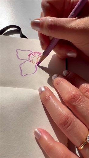 Summer Garden Flowers Sketching with Color Pencils