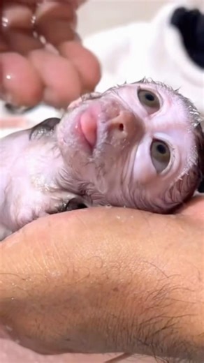 First time ever… Luci protested bath