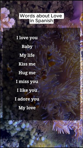 Romantic Spanish Love Phrases to Learn | Easy Spanish Class