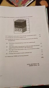 4.3 The diagram below represents a schematic representation of ... | Filo