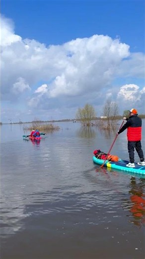 Would you paddleboard here?! 🌊 #paddleboarding #nature