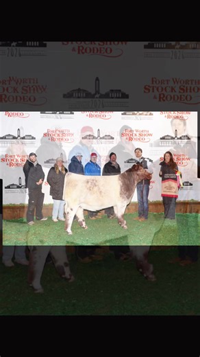 Jones_Cattle_Services (@jones_cattle_services)’s videos with เสียงต้นฉบับ - ทียู' เอ็ม - Qwrdtgg