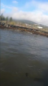 Catching Waves Is Contagious!! 🏄‍♂️🌊#vancouverisland #canada #surfing #surffilms #victoria #shorts