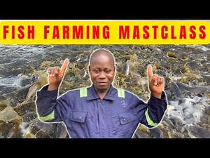 How to Build a Profitable Fish Farm: The Complete Catfish & Tilapia Blueprint