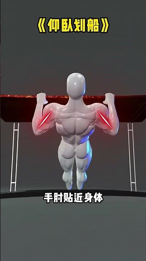 徒手练背最有效动作教学：无器械居家背部训练，新手也能瞬间找到发力感！
