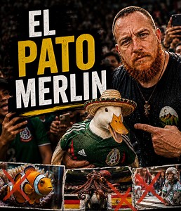 El pato Merlin 🦆 #pato #mexico #edutok #biology | patos