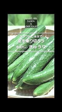 きゅうり（知識編）